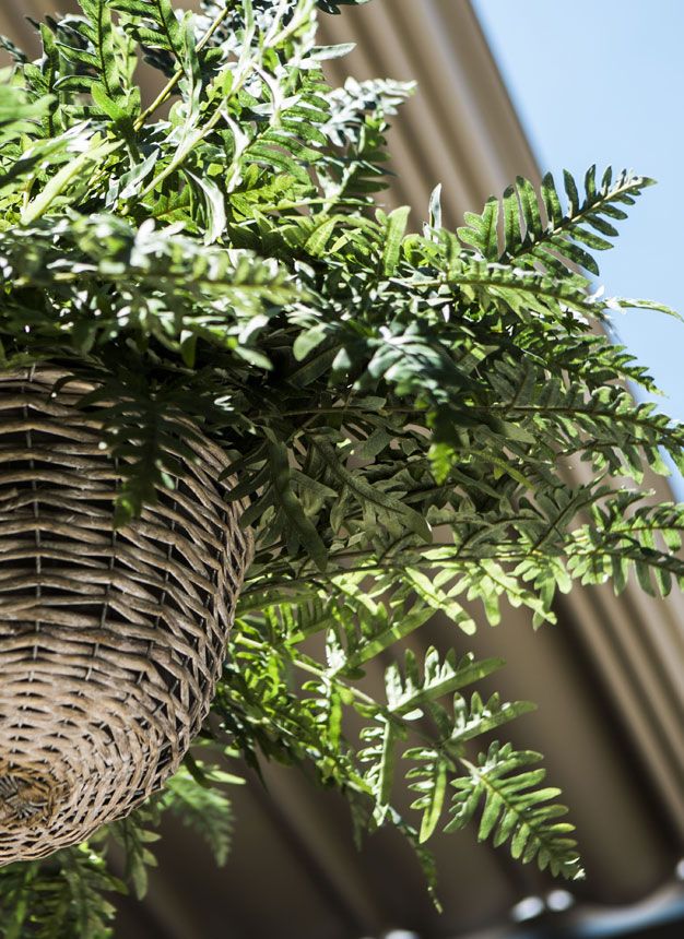 LA TERRAZA
